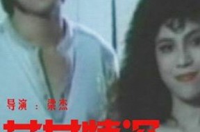 极度迷情,极度迷情的诱惑与挣扎